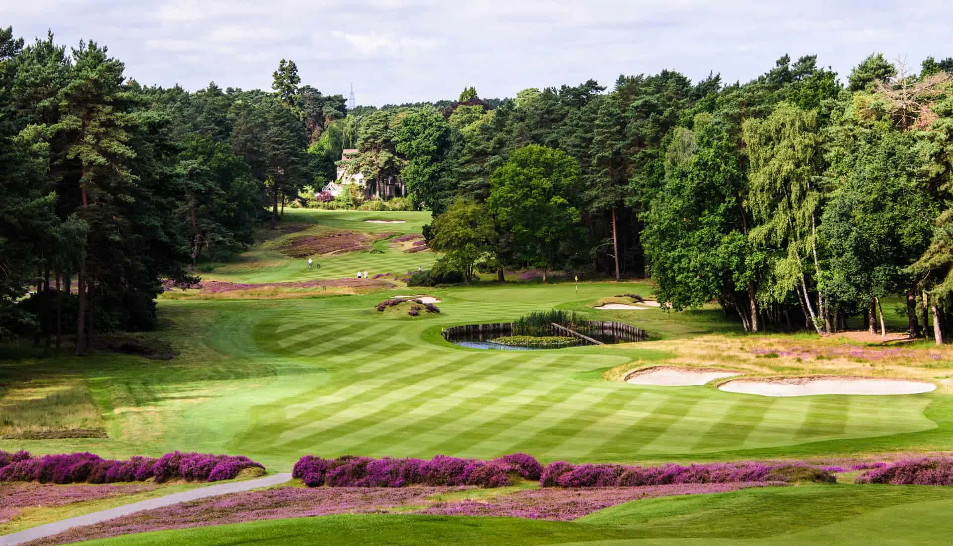 Lush green golf course surrounded by tall trees and vibrant purple flowers, ideal for golf vacations and outdoor relaxation.