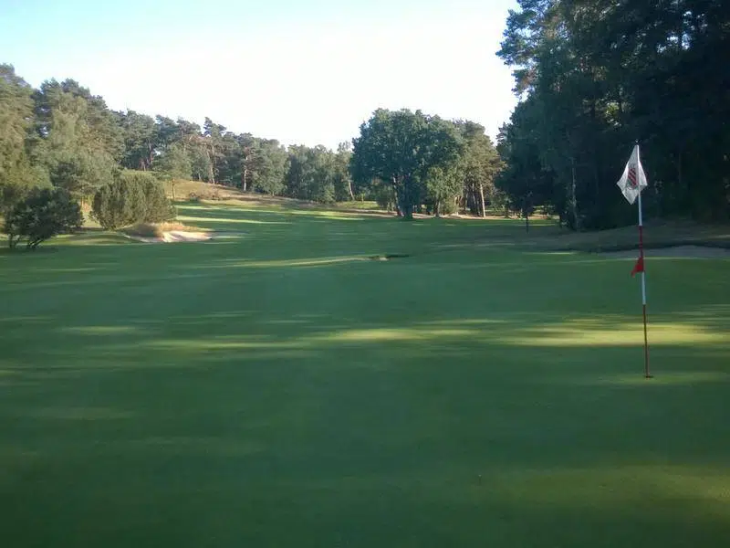 Lush golf course with well-maintained greens and scenic trees, ideal for a relaxing vacation golf outing.