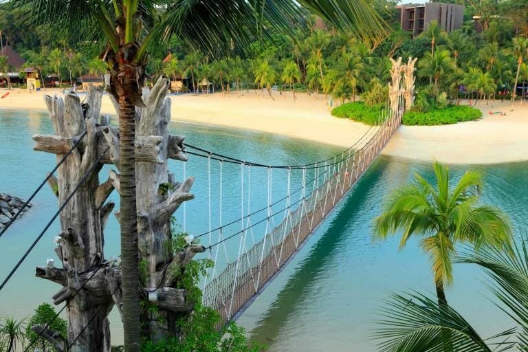 Suspension bridge over clear ocean water surrounded by tropical palm trees at a beach resort.