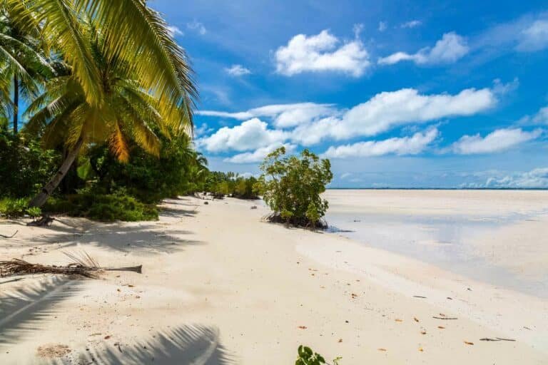 Yellow beautiful sandy paradise beach of azure turquoise blue shallow lagoon, North Tarawa atoll, sunny day, Kiribati, Gilbert Islands, Micronesia, Oceania, South Pacific Ocean. Palm trees, mangroves.