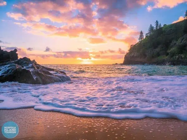 Vibrant turquoise ocean waters and lush green coastal trees with sandy beaches.
