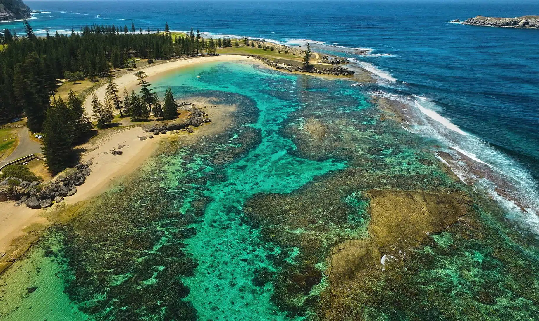 Vibrant turquoise ocean waters and lush green coastal trees with sandy beaches.