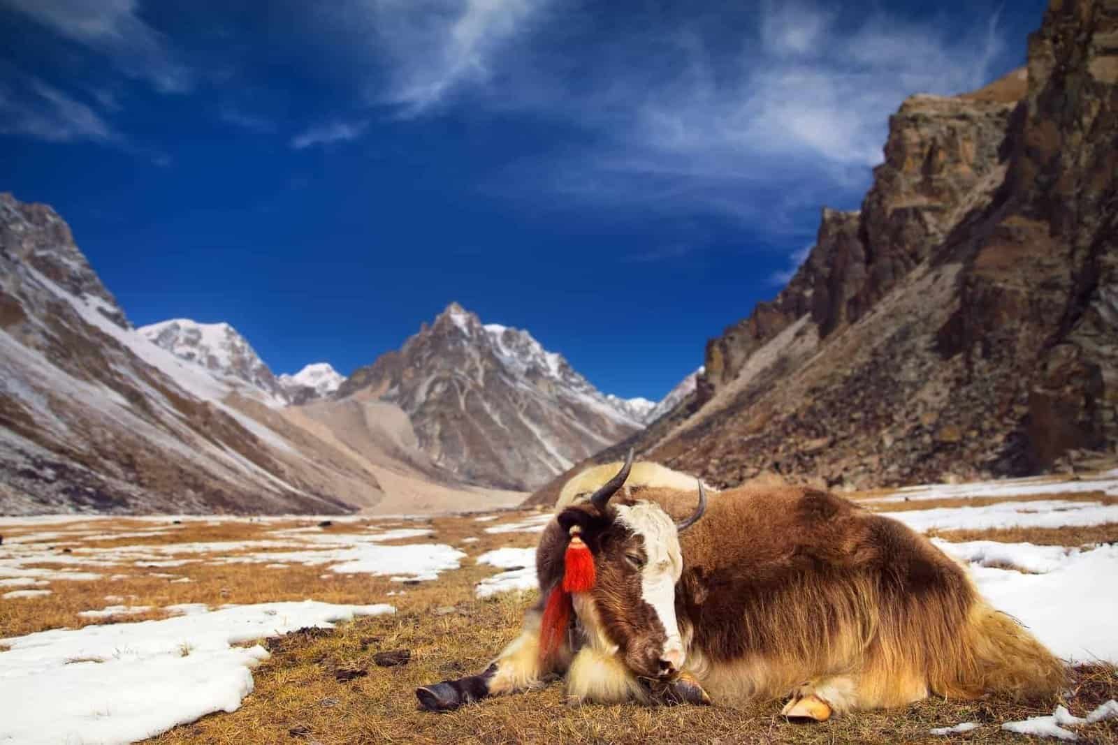 Bhutan. The world's rarest travel destinations