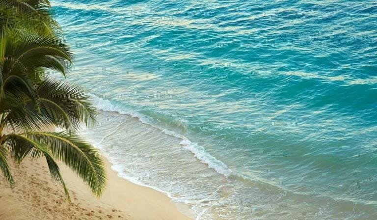 Tranquil tropical beach with turquoise waters and lush palm trees, perfect for a relaxing vacation getaway.