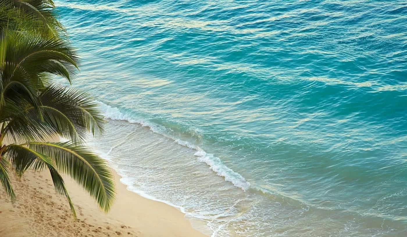 Tranquil tropical beach with turquoise waters and lush palm trees, perfect for a relaxing vacation getaway.