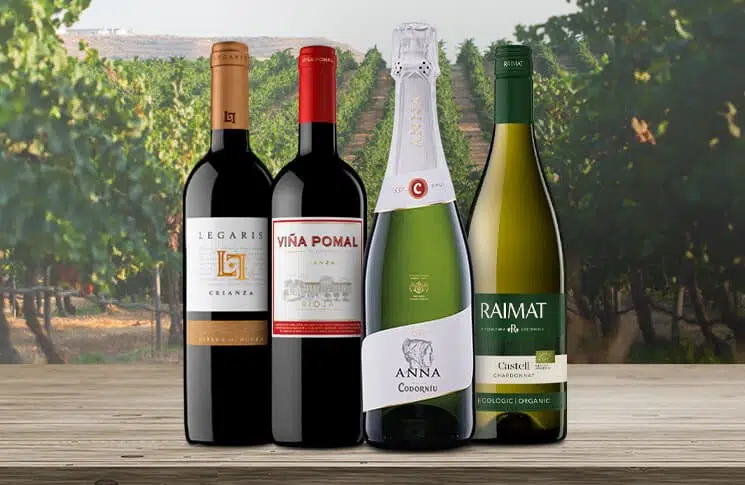 Vineyard map of Spain showcasing major wine regions and popular wine areas for wine tourism and tasting.