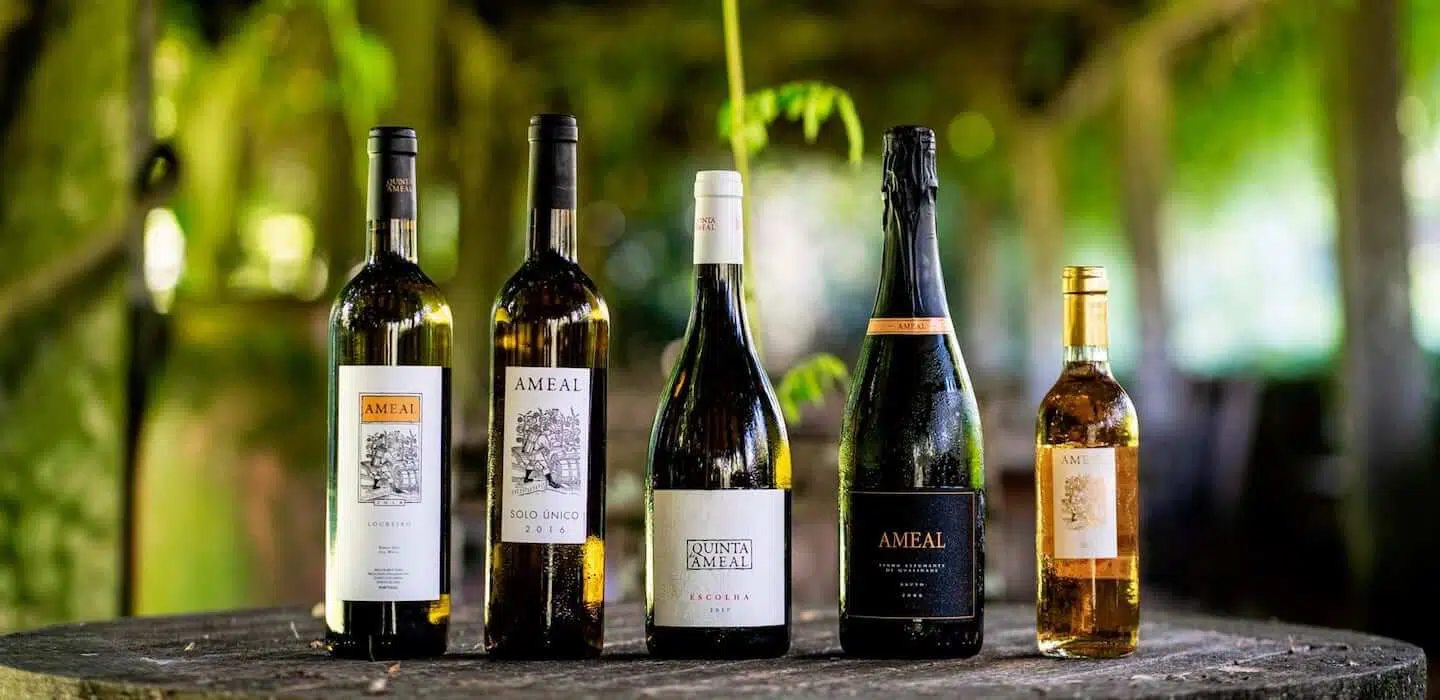 green wines, vinho verde, Portugal