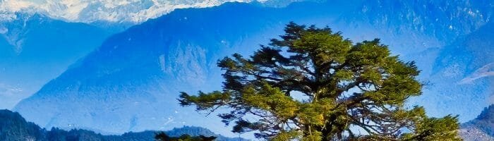 Majestic mountain landscape with snow-capped peaks and lush green trees, perfect for travel and nature enthusiasts.