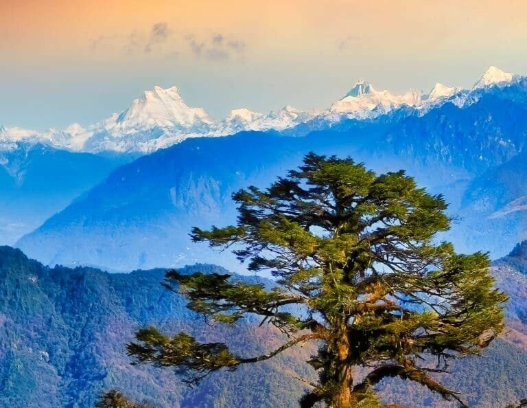Majestic mountain landscape with snow-capped peaks and lush green trees, perfect for travel and nature enthusiasts.