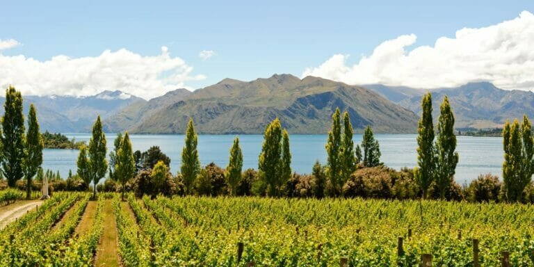 Malbourough, 15-Day-Classic-New-Zealand-Wine-Trail-Tour