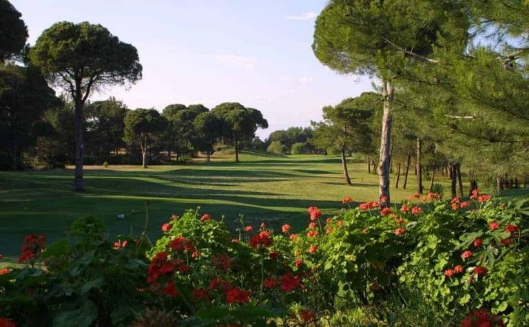Golf course with lush green grass and trees in the background, colorful flowers in the foreground.