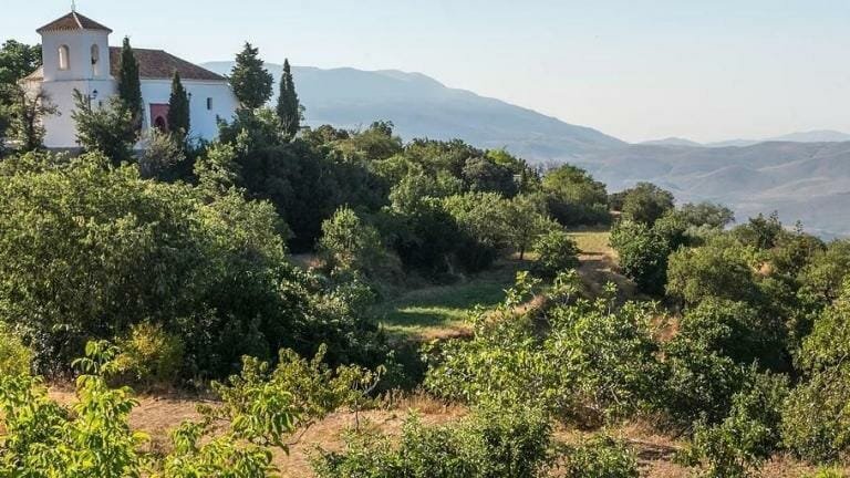 Vineyard overlooking rolling hills with a distant church and mountain scenery, perfect for peaceful travel and scenic retreats.
