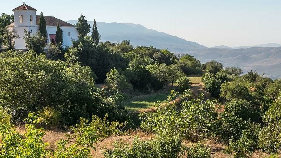 Vineyard overlooking rolling hills with a distant church and mountain scenery, perfect for peaceful travel and scenic retreats.