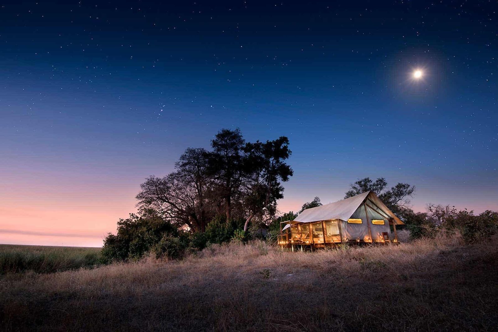 Luxury travel. Safari Luxury buy out