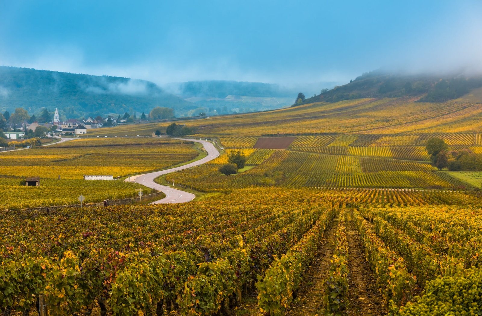 Vineyards in the autumn season, Burgundy, France