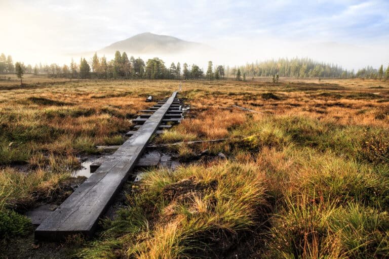 Travel to Sweden, Trekking Tour on the Kungsleden in Sweden a wooden hiking trail