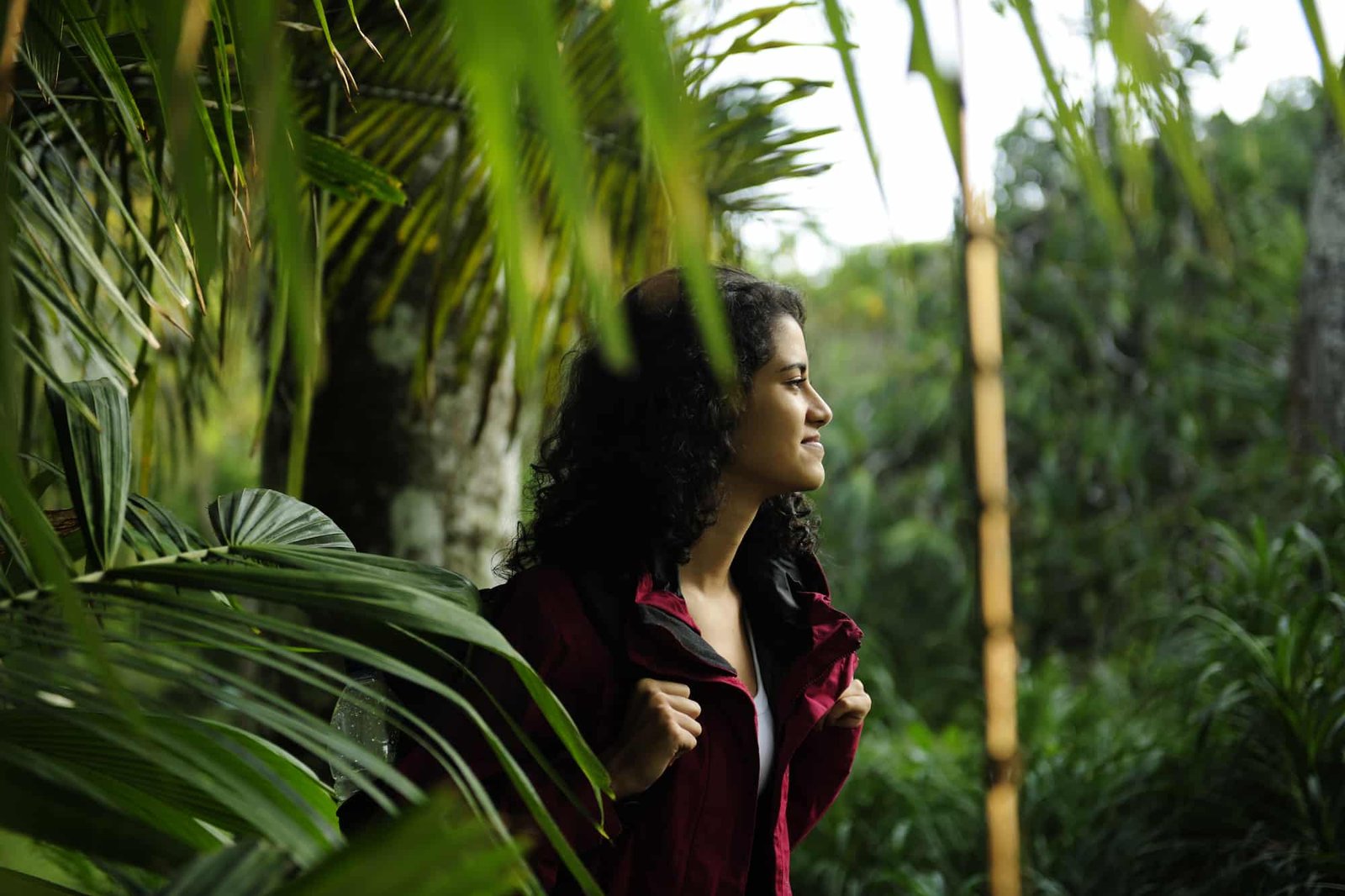 Sustainable travel, female hiker exploring wilderness of a tropical rainforest