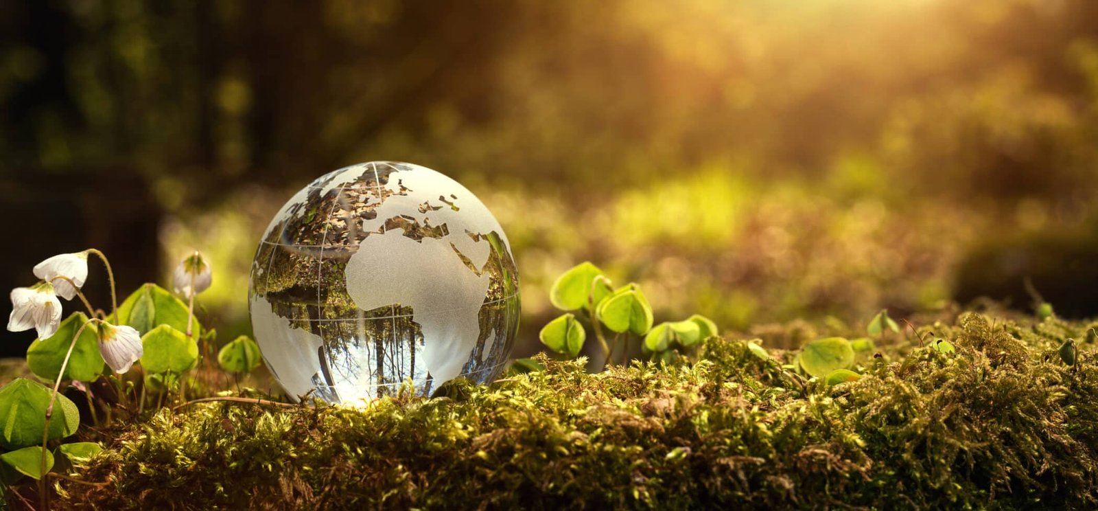 Sustainable travel. Environment conservation concept.