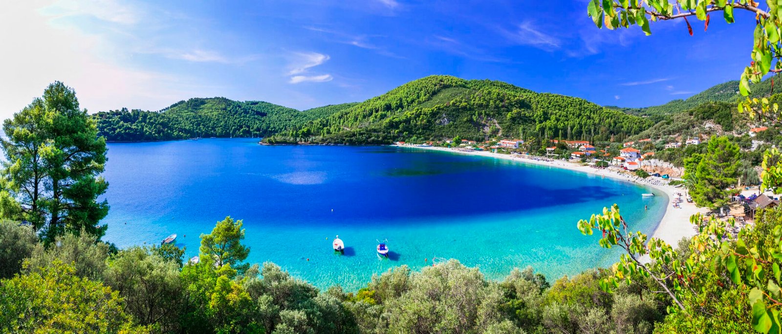 Best beaches of Skopelos - beautiful Panormos bay. Sporades islands