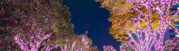 Winter illumination in Tokyo at Shinjuku district, Japan