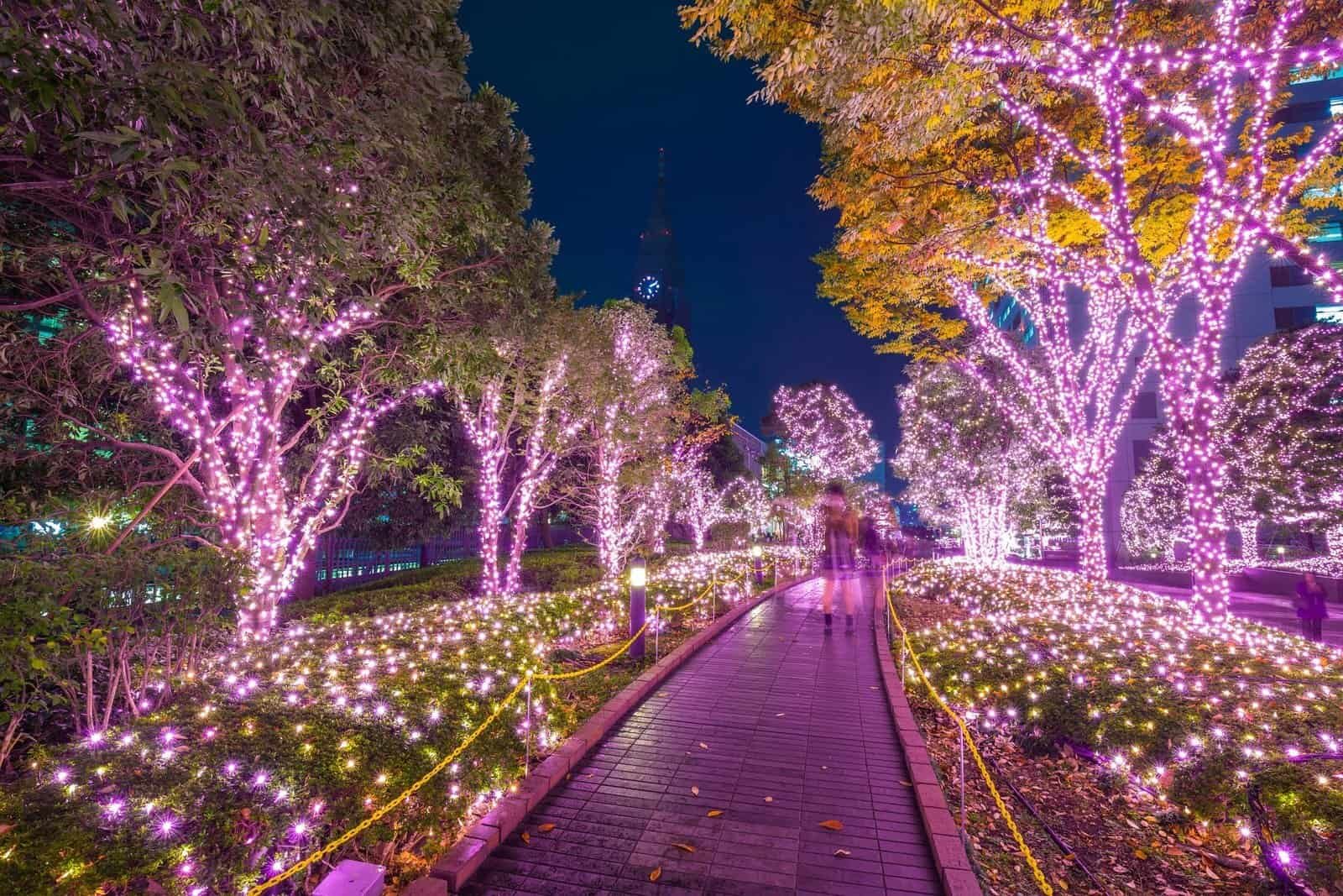 Winter illumination in Tokyo at Shinjuku district, Japan