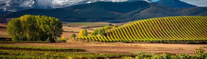 San Lorenzo mountain as background, La Rioja, Spain