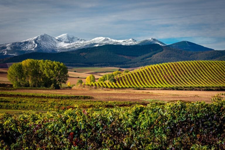 San Lorenzo mountain as background, La Rioja, Spain