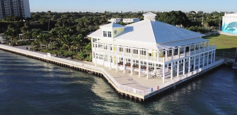 Discover The Palm Beaches