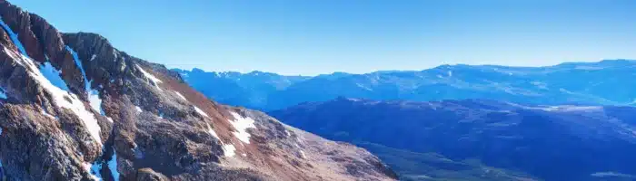 Condor in Patagonia