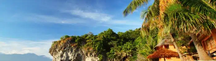 Sandy beach and palm trees in a small lagoon. Apo island, Philippines
