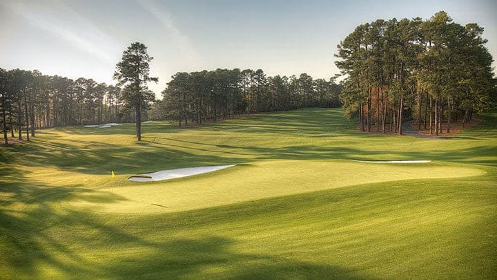 Major golf tournaments are more than just sporting events; they are iconic gatherings that draw golfers and fans from around the world
