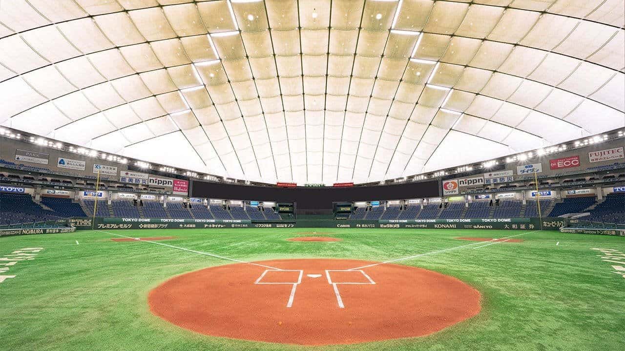 Baseball and Sports Travel