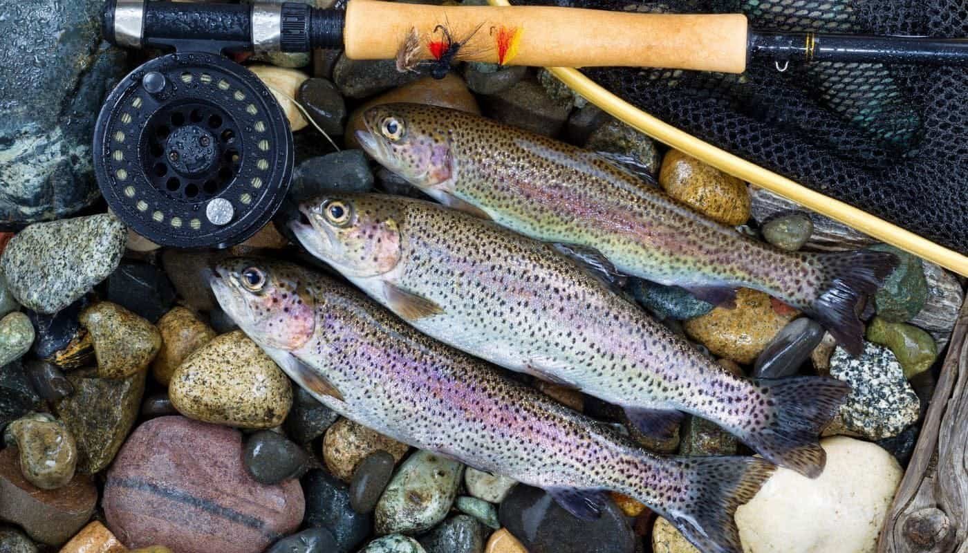 Fishing Holidays in Europe