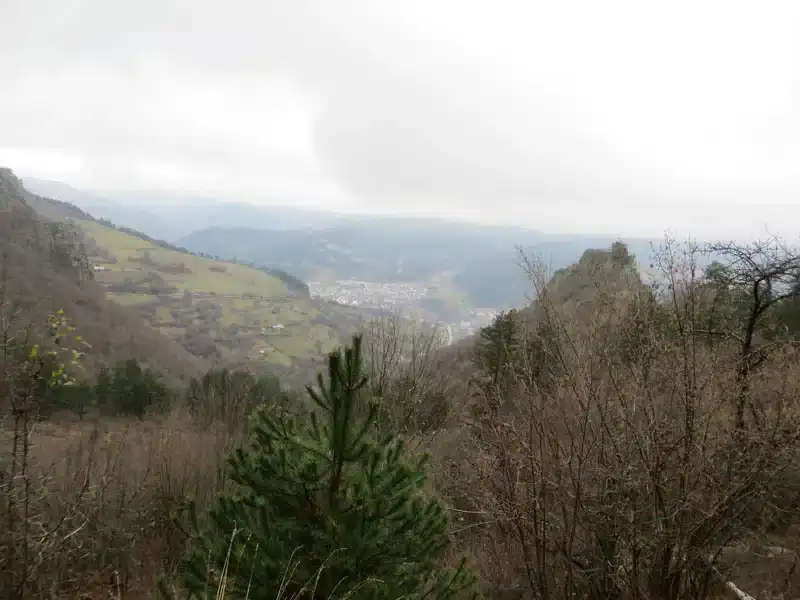 Bulgaria Hunting Trips