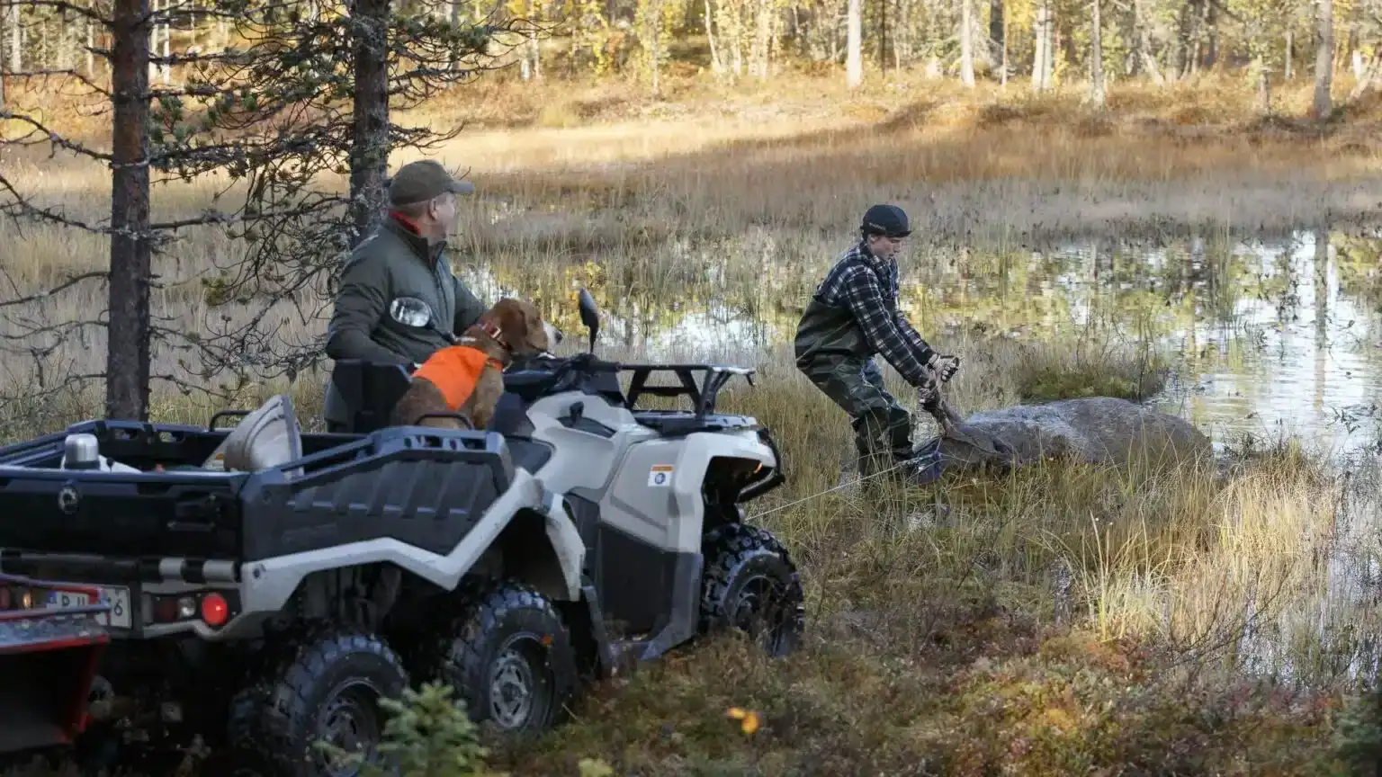 Sweden hunting trips