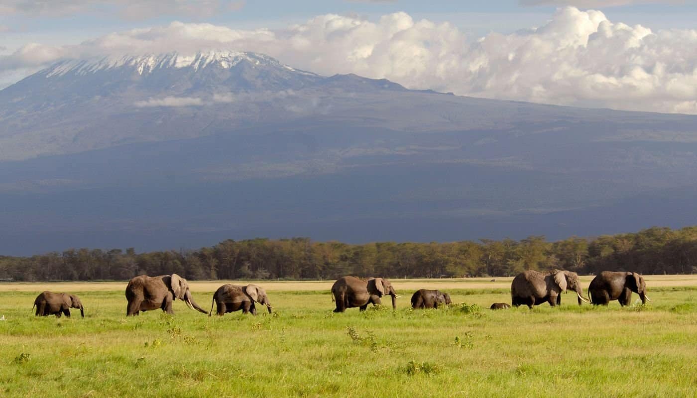 Amboseli National Park