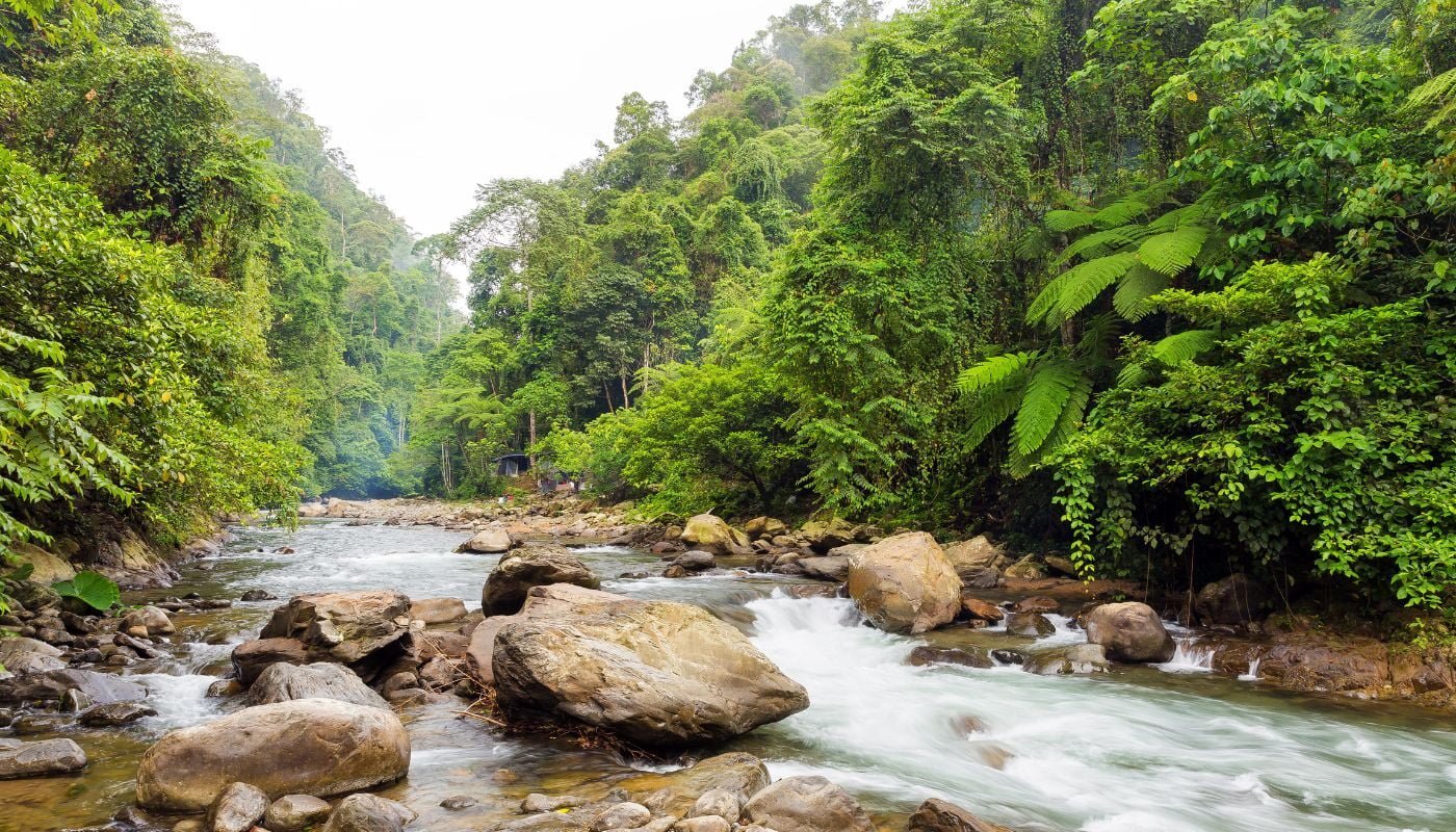 Bukit Lawang river trail