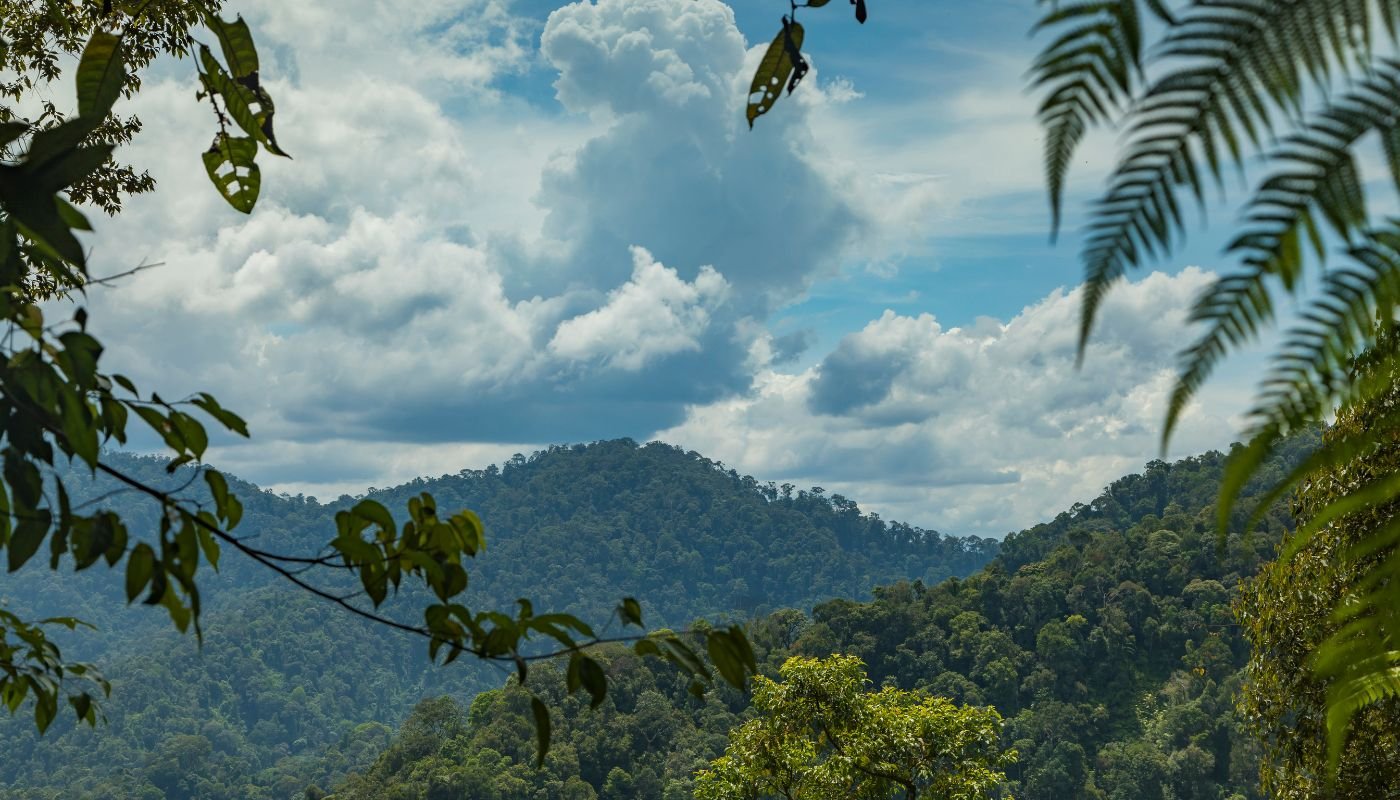 Gunung Leuser National Park - Explore the nature of Sumatra, Indonesia
