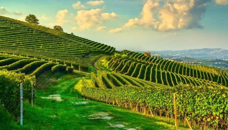 Langhe, Piedmont