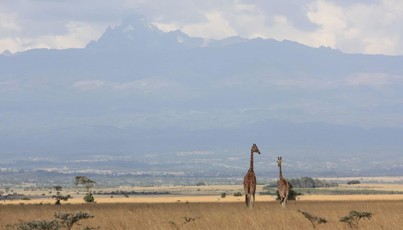 Nature parks in Kenya - Aberdare National Park