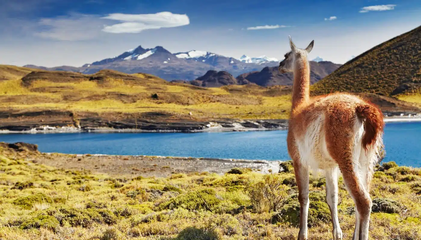Patagonia's Nature Parks