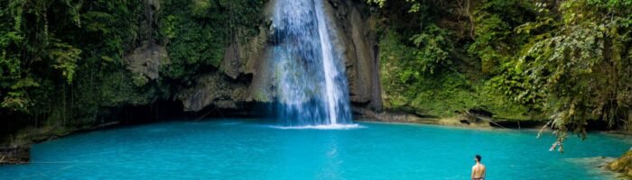 Jungle holidays