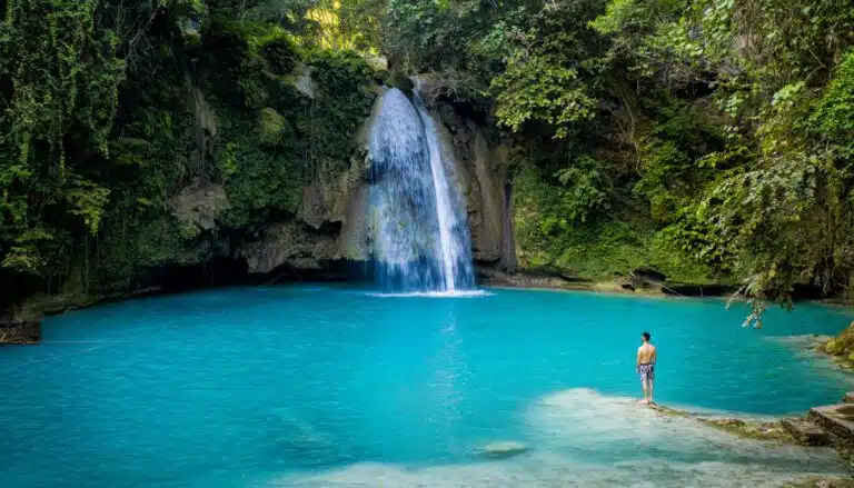 Jungle holidays
