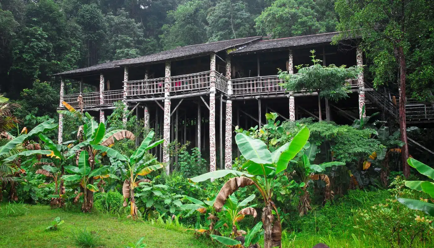Jungle Holidays - Loghouse in the Borneo jungle
