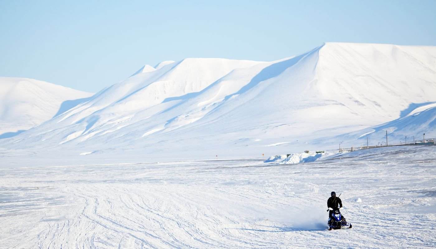 The Arctic