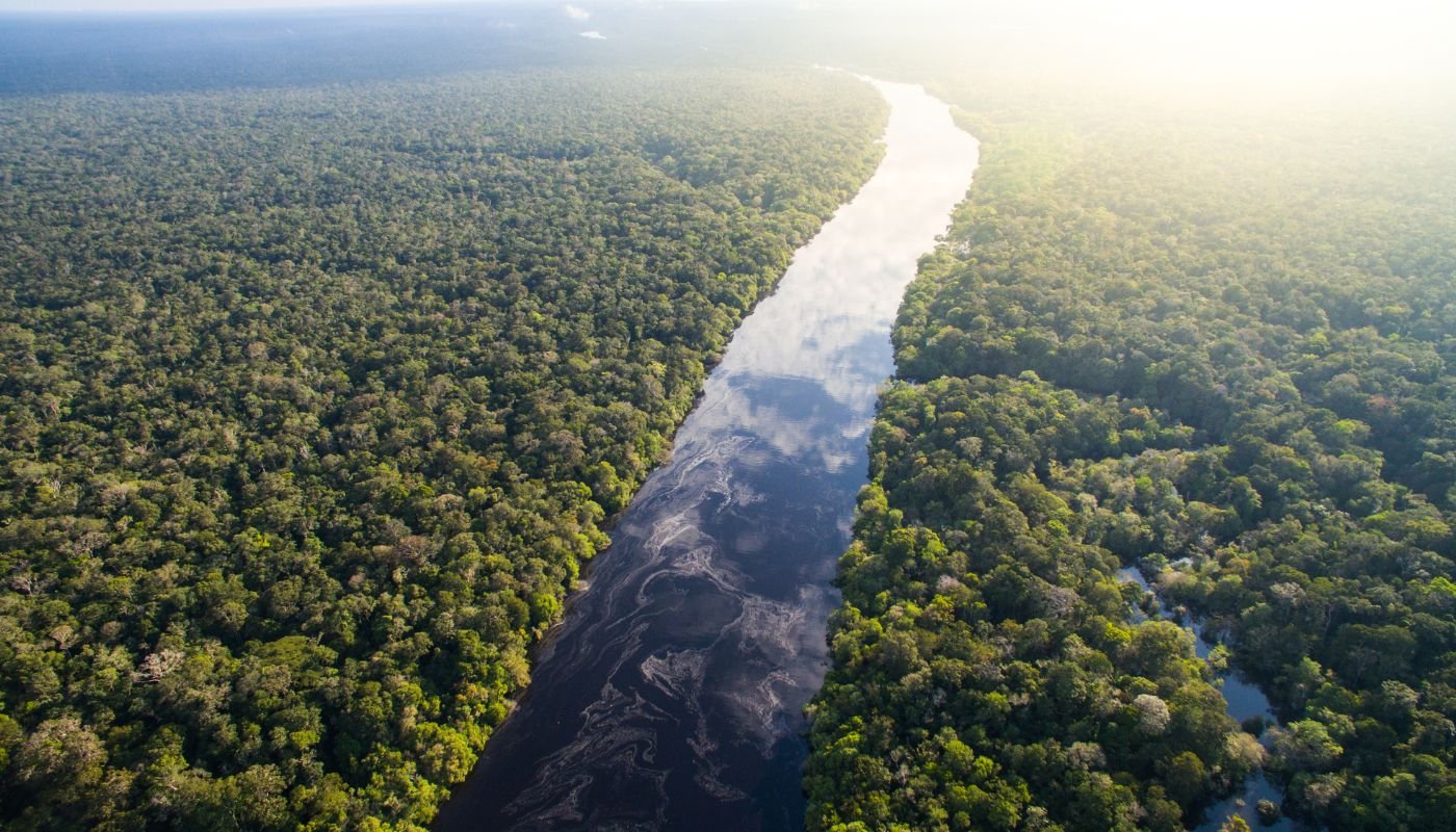 Jungle Holidays - Top view of the Amazon rainforest