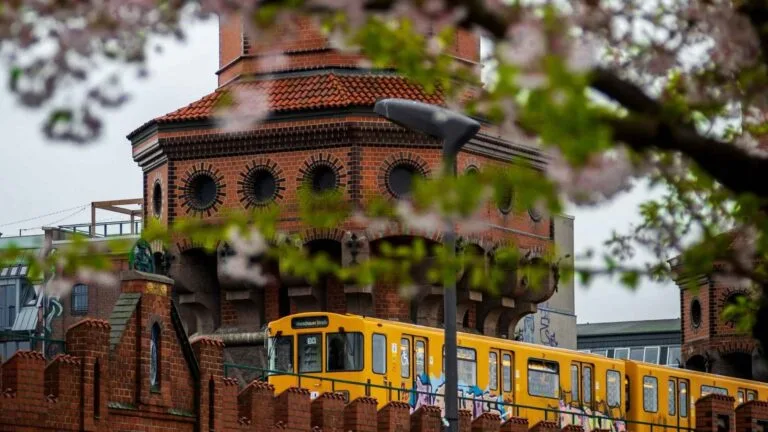 Bright yellow Berlin train passing under historic brick architecture surrounded by blooming cherry blossoms during spring.