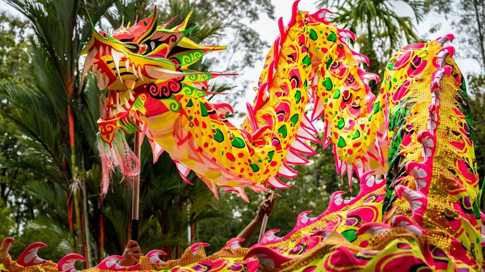 Chinese New Year 2025, Dragon dance in Malaysia