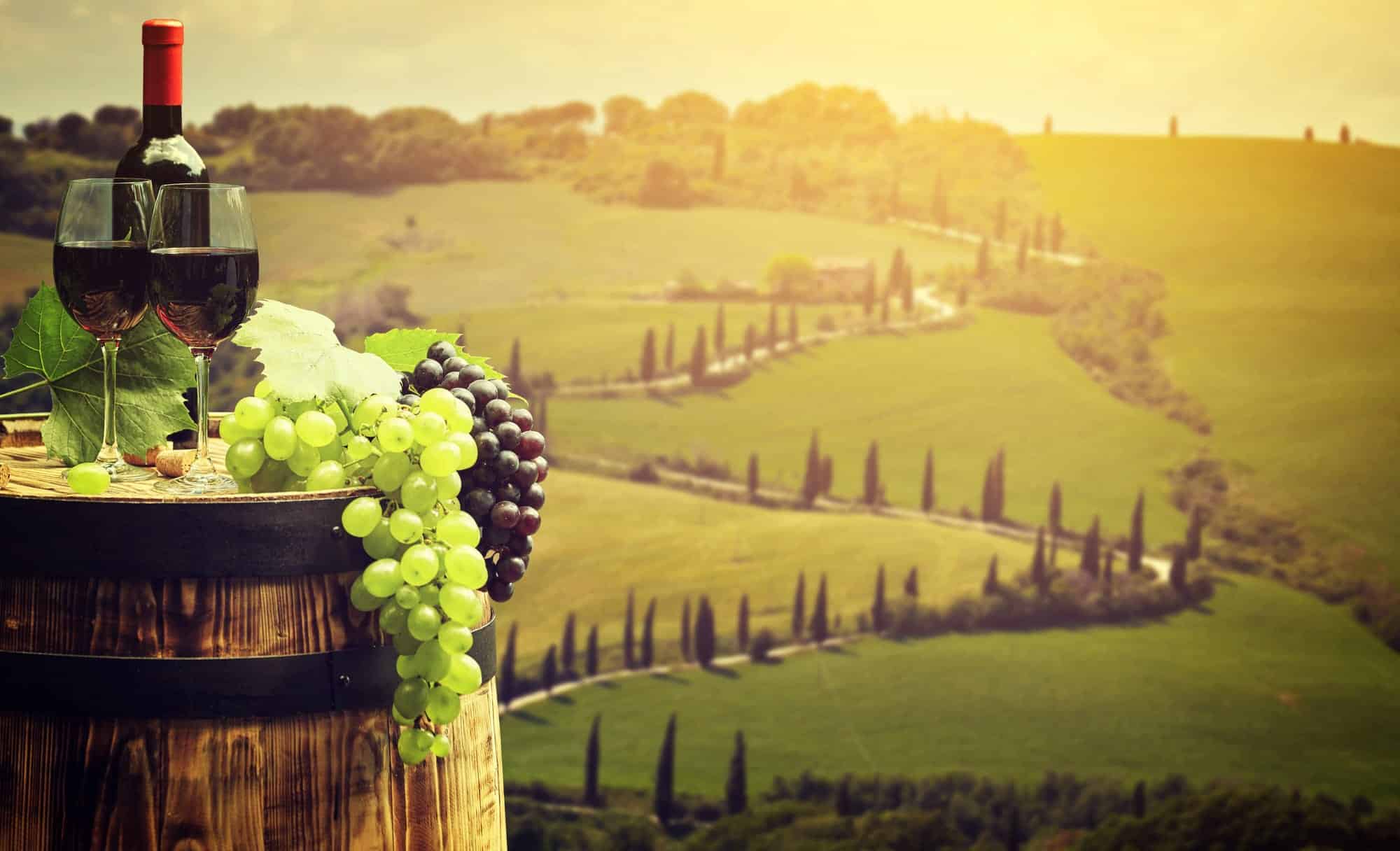 Bottle of red wine, glasses and grapes on a barrel in a Tuscan vineyard